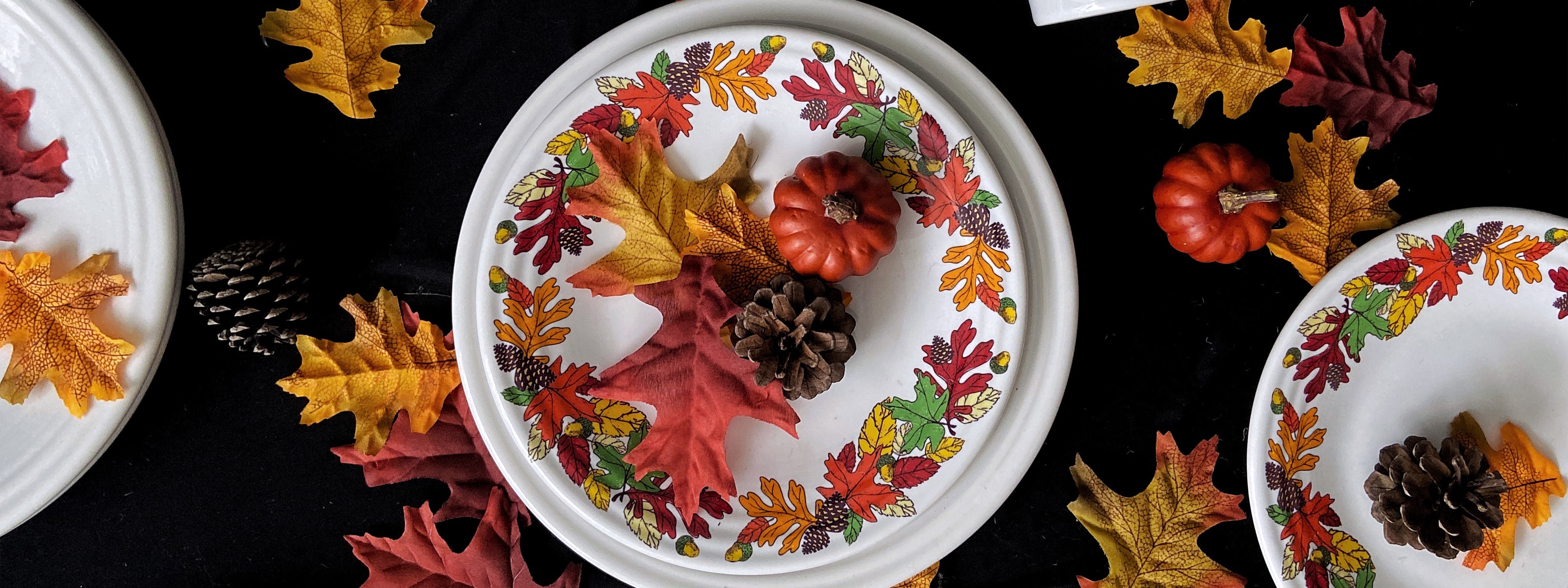 Harvest – Fiesta Factory Direct