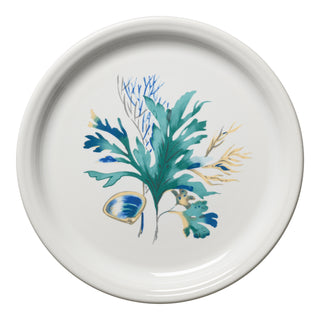 Coastal Shores Bistro Coupe 9 Inch Luncheon Plate