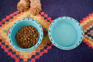 Best Friends Dog Large Bowl - Fiesta Factory Direct