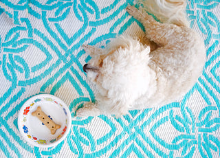 Scatter Print Dog Paws Bowl Small, fiestaÂ® Pet Ware - Fiesta Factory Direct by Homer Laughlin China.  Dinnerware proudly made in the USA.  